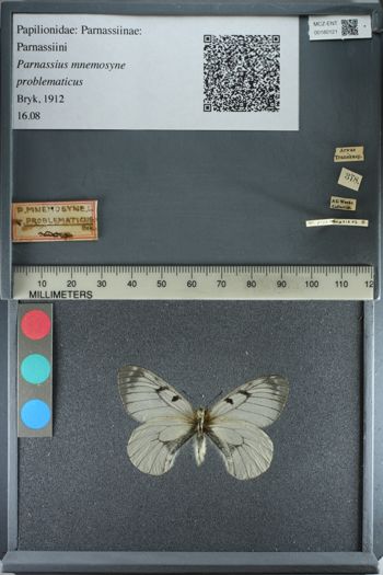 Media type: image;   Entomology 180121
